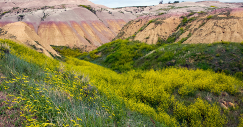 Your Ultimate Guide To Spring Attractions And Activities In South Dakota