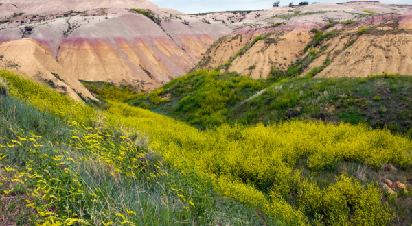 Your Ultimate Guide To Spring Attractions And Activities In South Dakota