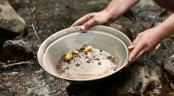 The Story Of Gold In Washington And How Gold Panning Is Making A Big Comeback