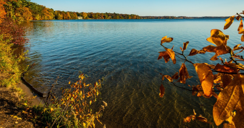 Interlochen State Park In Michigan Is 104 Years Old And It's The Perfect Spot For A Day Trip