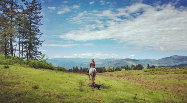 The Perfect Washington Getaway To Take If You Have Been Dreaming Of Big Sky Adventure