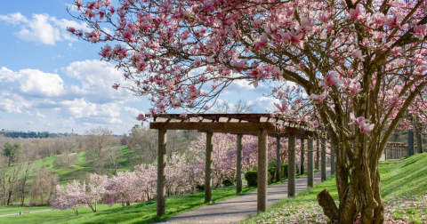Your Ultimate Guide To Spring Attractions And Activities In West Virginia