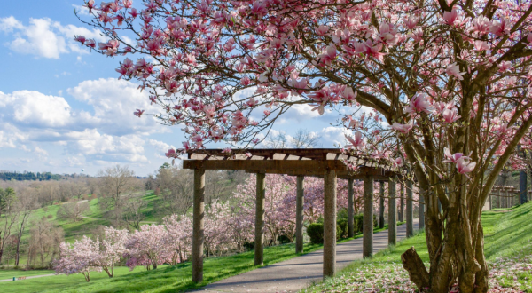 Your Ultimate Guide To Spring Attractions And Activities In West Virginia