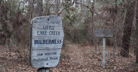Enjoy A Secluded Stroll On A Little-Known Path In This Iconic Texas Forest