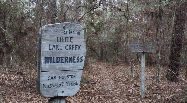 Enjoy A Secluded Stroll On A Little-Known Path In This Iconic Texas Forest