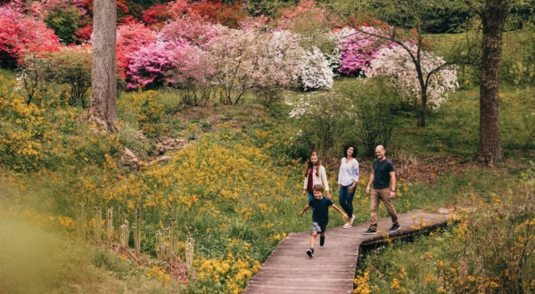 Your Ultimate Guide To Spring Attractions And Activities In North Carolina