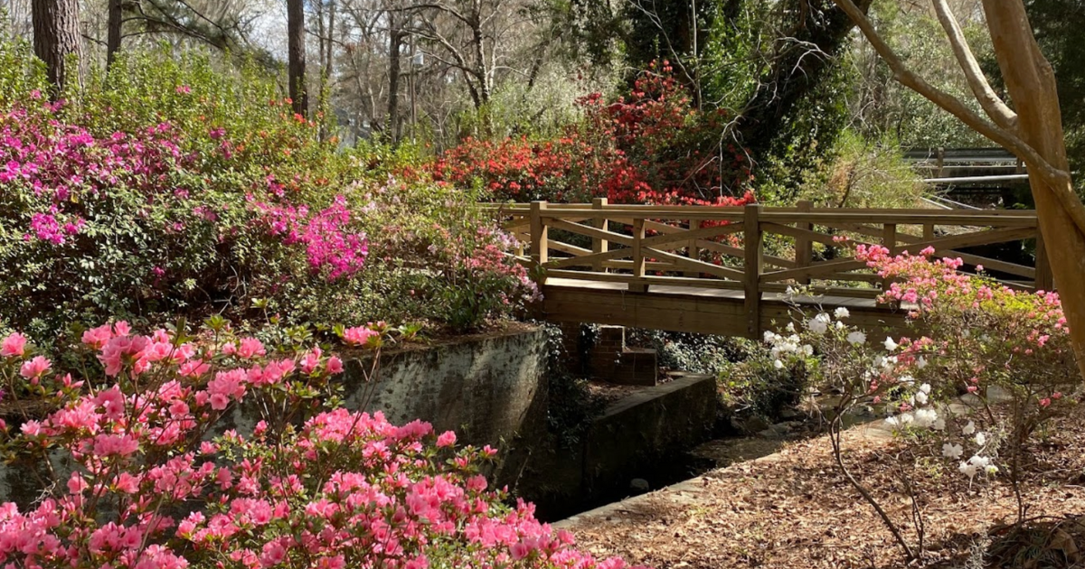 Your Ultimate Guide To Spring Attractions And Activities In South Carolina