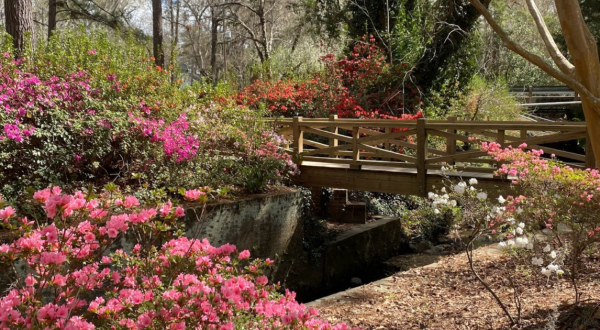 Your Ultimate Guide To Spring Attractions And Activities In South Carolina