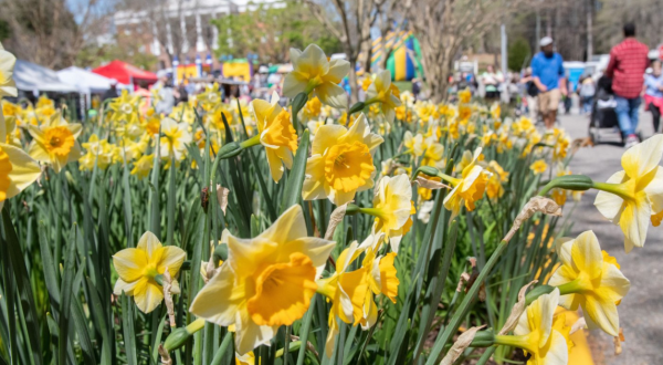 Your Ultimate Guide To Spring Attractions And Activities In Virginia