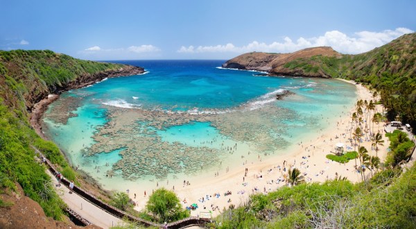 Your Ultimate Guide To Spring Attractions And Activities In Hawaii