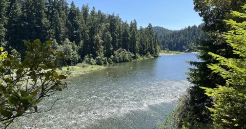 Enjoy A Secluded Stroll On A Little-Known Path Along This Iconic Northern California River