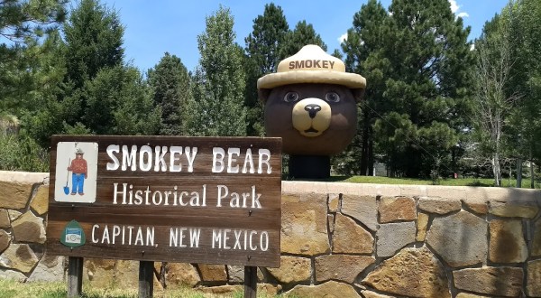 American Icon Smokey Bear Turns 80 This Year And We Know The Perfect Way To Celebrate