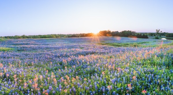 Your Ultimate Guide To Spring Attractions And Activities In Texas