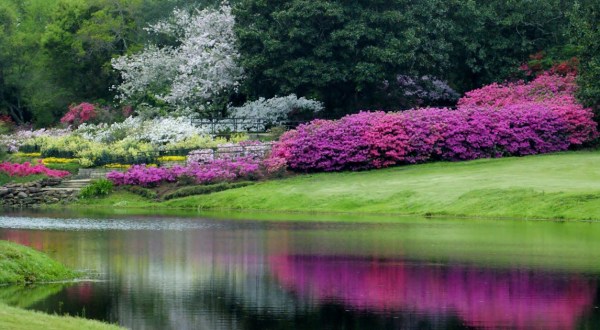 Your Ultimate Guide To Spring Attractions And Activities In Alabama