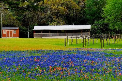 The Perfect Spring Getaway Starts With One Of These 7 Picture-Perfect Airbnbs In Texas