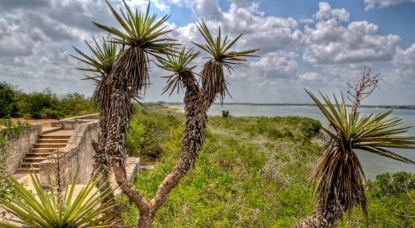 Lake Corpus Christi State Park In Texas Just Turned 90 Years Old And It’s The Perfect Spot For A Day Trip