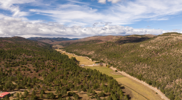 The Gila Wilderness In New Mexico Just Turned 100 Years Old And It’s The Perfect Spot For A Day Trip