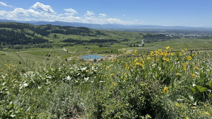 places to visit in montana in spring