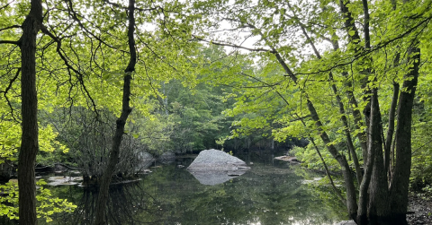 Enjoy A Secluded Stroll On A Little-Known Path Along This Pretty Massachusetts Pond