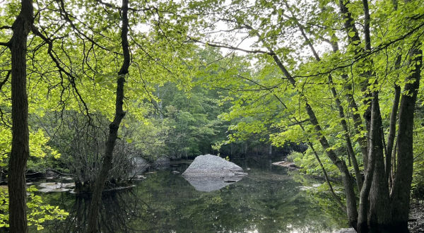 Enjoy A Secluded Stroll On A Little-Known Path Along This Pretty Massachusetts Pond