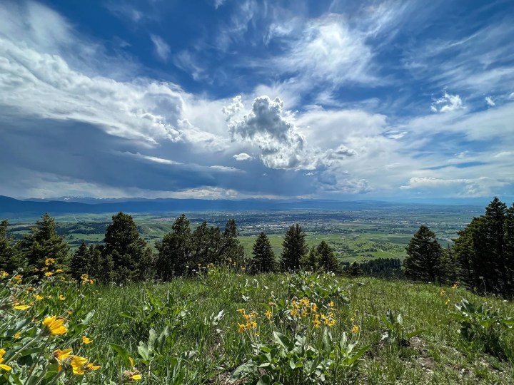 places to visit in montana in spring