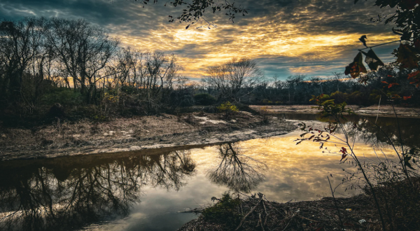 Enjoy An Unexpectedly Magical Hike On This Little-Known Trail In Louisiana