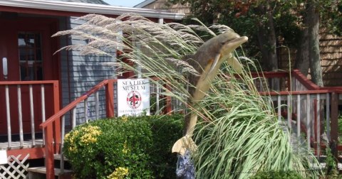 New Jersey's Largest Collection Of Sea Animal Artifacts Is At This Animal Rescue And Museum