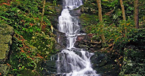 Best Waterfalls in New Jersey: 12 Local Favorites & Hidden Gems