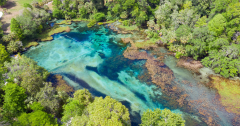 Did You Know Florida Is Home To More Natural Springs Than Anywhere Else In The World?