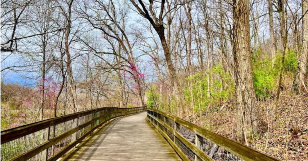 With Accessible Boardwalks And Blue Ridge Mountain Views, The Saunders-Monticello Trail Is My Favorite In Central Virginia