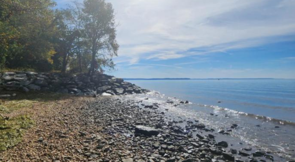 Enjoy A Secluded Stroll On A Magical Path Leading To The Chesapeake Bay