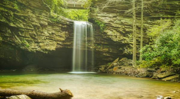 Best Waterfalls In Virginia: 12 Local Favorites & Hidden Gems
