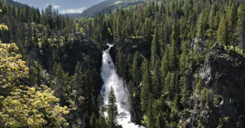 Best Waterfalls In Colorado: 12 Local Favorites & Hidden Gems
