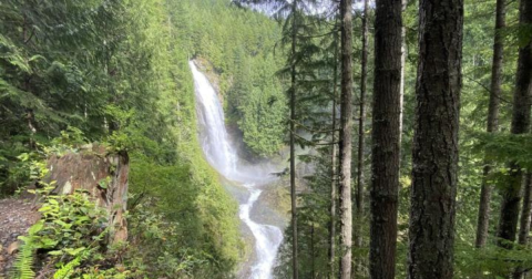 Best Waterfalls In Washington: 12 Local Favorites & Hidden Gems
