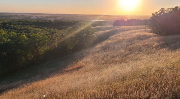 White Horse Hill Game Preserve In North Dakota Just Turned 119 Years Old And It’s The Perfect Spot For A Day Trip