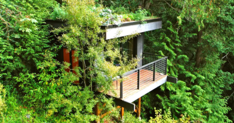 The Perfect Spring Getaway Starts With One Of These 6 Picture-Perfect Airbnbs In Washington