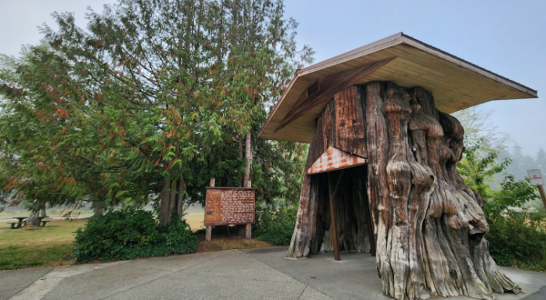 The Country’s Most Impressive Rest Stop Is Hiding Right Here In Washington