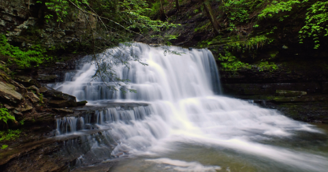 Best Waterfalls in Pennsylvania: 15 Local Favorites & Hidden Gems