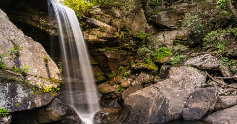 Best Waterfalls In Kentucky: 12 Local Favorites & Hidden Gems
