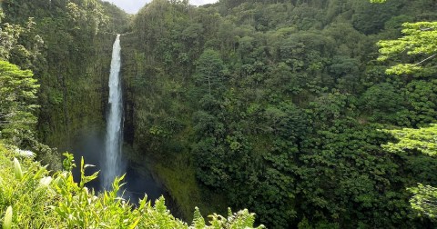Best Waterfalls in Hawaii: 12 Local Favorites & Hidden Gems