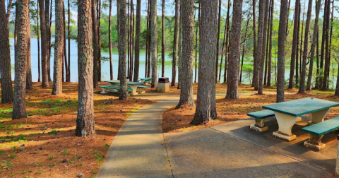 The Country's Most Impressive Rest Stop Is Hiding Right Here In South Carolina