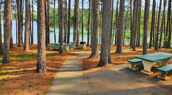 The Country’s Most Impressive Rest Stop Is Hiding Right Here In South Carolina