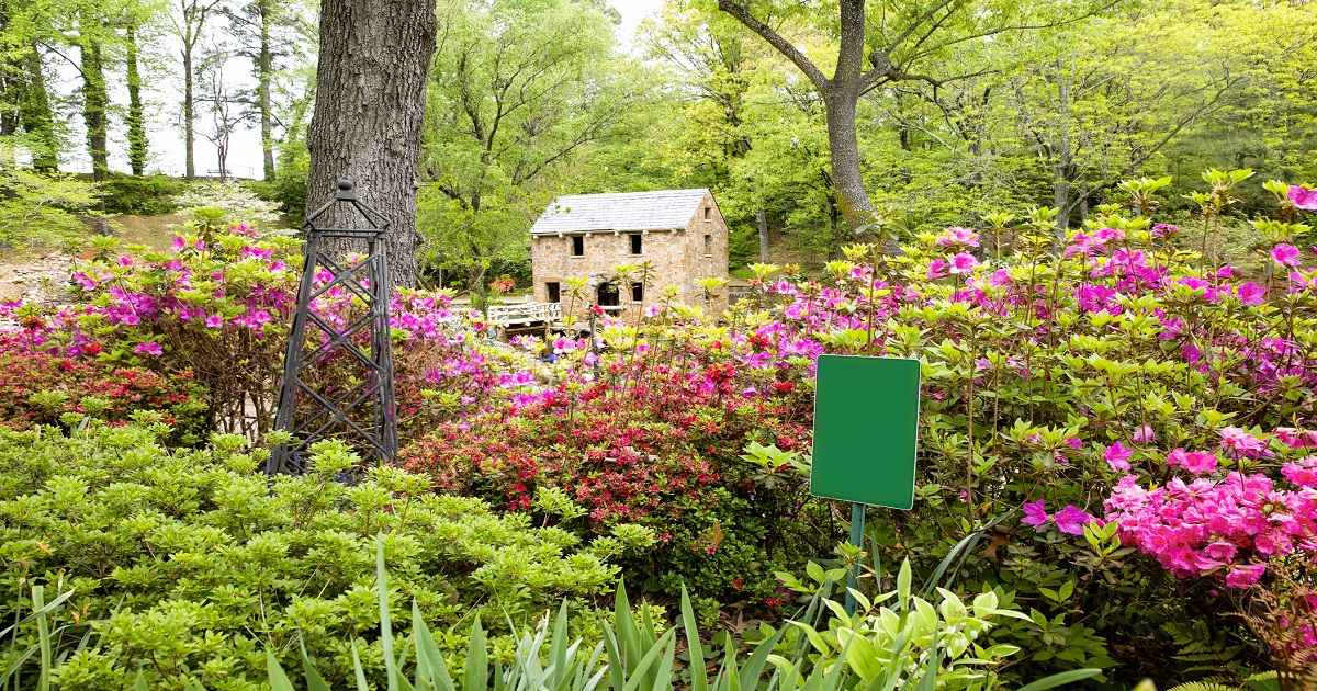 Your Ultimate Guide To Spring Attractions And Activities In Arkansas