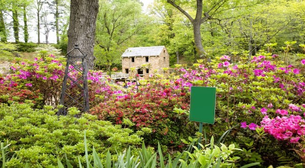 Your Ultimate Guide To Spring Attractions And Activities In Arkansas