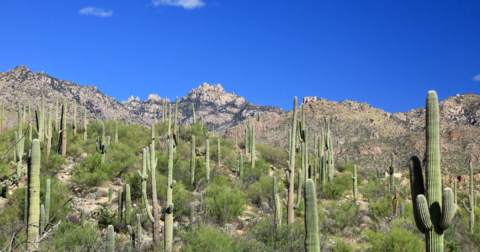 Did You Know Arizona Is Home To 3 Of The Top 10 Sunniest Cities In The World?