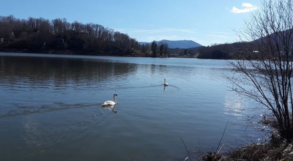 I Love This Inspiring Lakeside Walking Trail In North Carolina That Is Home To An Ice Cream Shop, Swans, And A Chapel