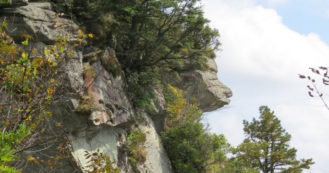 The Surprising Stories Of How This Popular South Carolina State Park Got Its Name