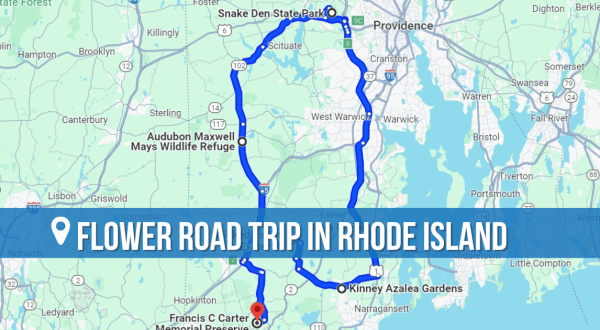 The Incredible Flower Road Trip Through Rhode Island Is The Ultimate Spring Adventure