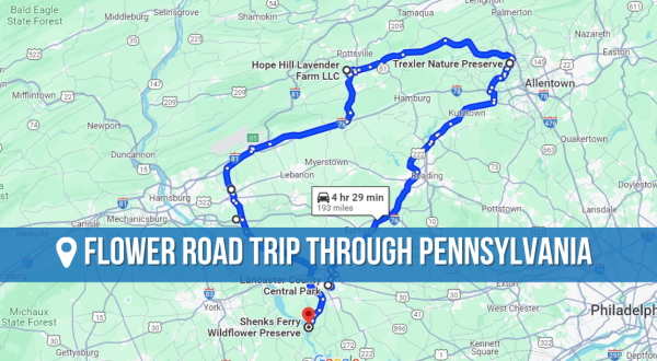 The Incredible Flower Road Trip Through Pennsylvania Is The Ultimate Spring Adventure