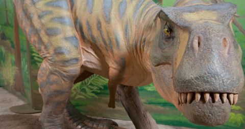 Encounter Dinosaurs At This Interactive Iowa Science Museum